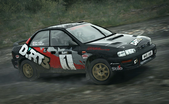 Игра DiRT Rally, скриншот