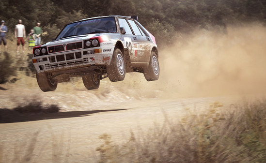 Игра DiRT Rally, скриншот