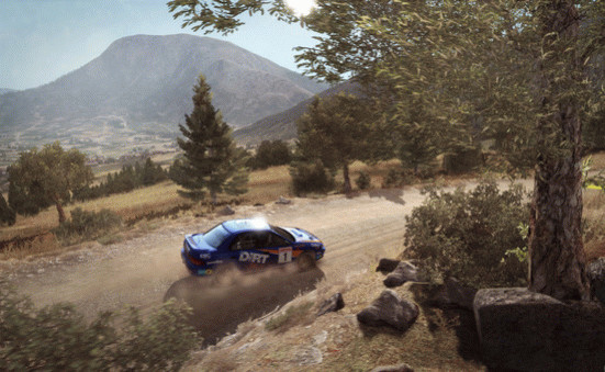 Игра DiRT Rally, скриншот