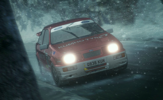 Игра DiRT Rally, скриншот