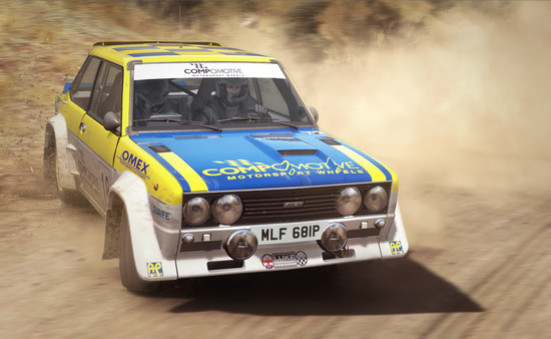 Игра DiRT Rally, скриншот
