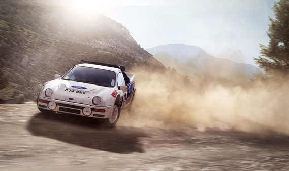 Игра DiRT Rally, скриншот