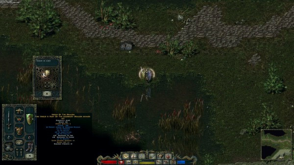 Игра Divine Divinity, скриншот