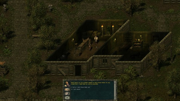 Игра Divine Divinity, скриншот