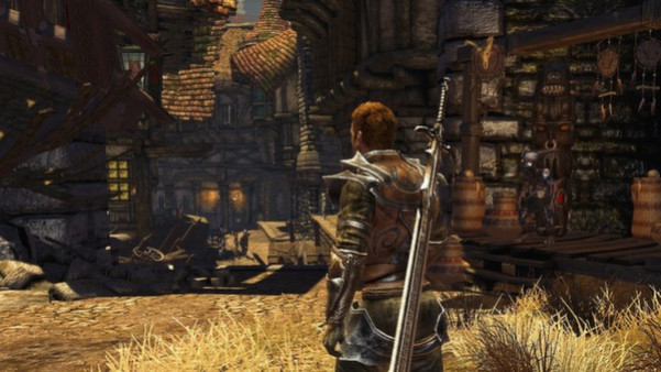 Игра Divinity II: Developer's Cut, скриншот