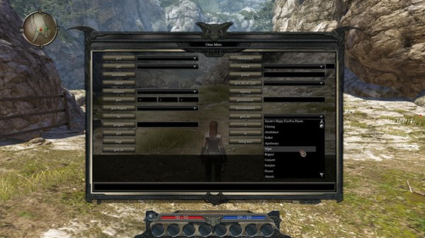 Игра Divinity II: Developer's Cut, скриншот