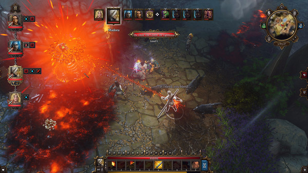 Игра Divinity: Original Sin - Enhanced Edition, скриншот