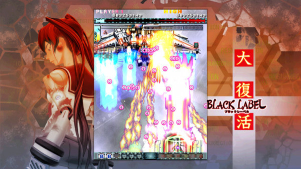 Игра DoDonPachi Resurrection, скриншот