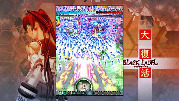 Игра DoDonPachi Resurrection, скриншот