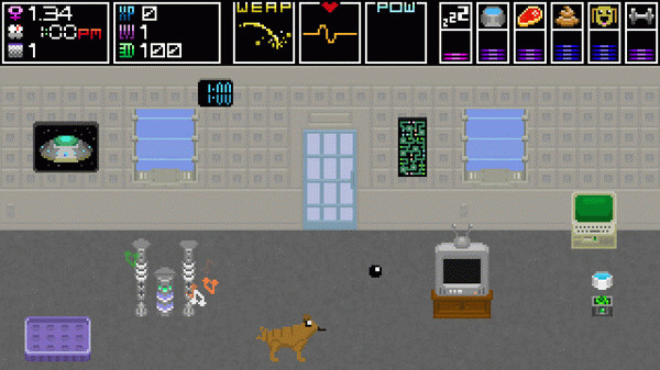Игра Domestic Dog, скриншот