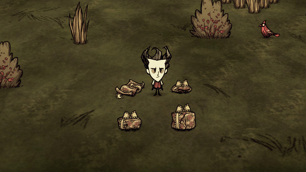 Игра Don't Starve Together: Cottage Cache Chest, скриншот