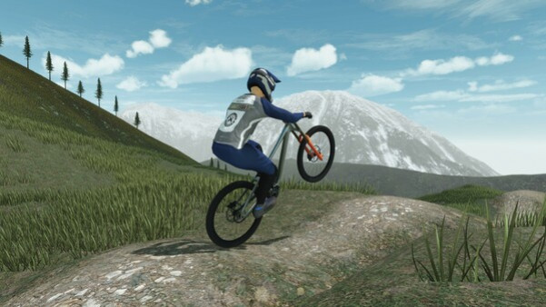 Игра Downhill Pro Racer, скриншот