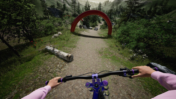 Игра DownhillVR, скриншот