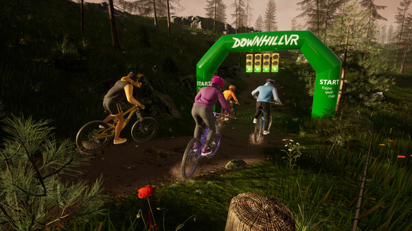 Игра DownhillVR, скриншот