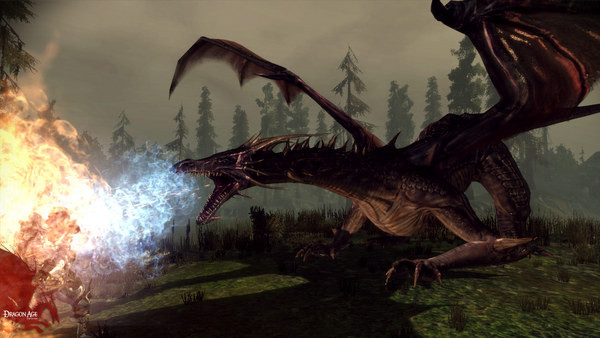 Игра Dragon Age: Origins, скриншот