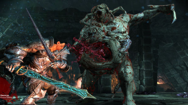Игра Dragon Age: Origins - Ultimate Edition, скриншот
