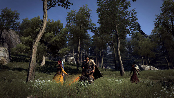 Игра Dragon's Dogma: Dark Arisen, скриншот