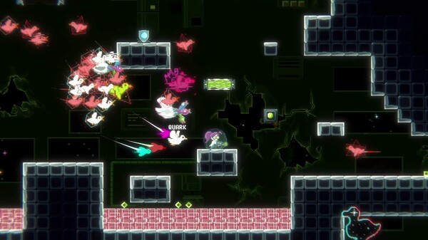 Игра Duck Paradox, скриншот
