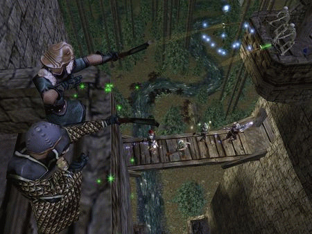 Игра Dungeon Siege, скриншот