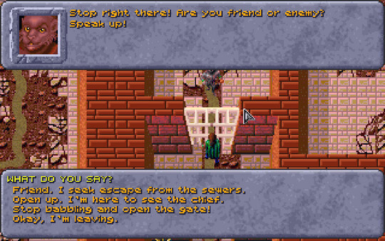 Игра Dungeons & Dragons: Dark Sun Series, скриншот