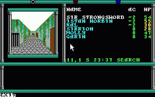 Игра Dungeons & Dragons: Krynn Series, скриншот