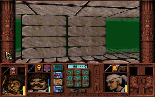 Игра Dungeons & Dragons: Ravenloft Series, скриншот