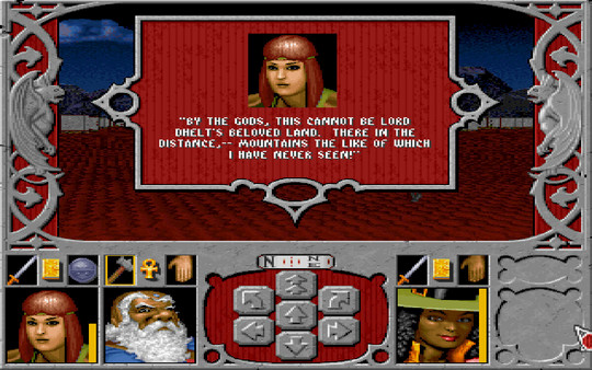 Игра Dungeons & Dragons: Ravenloft Series, скриншот