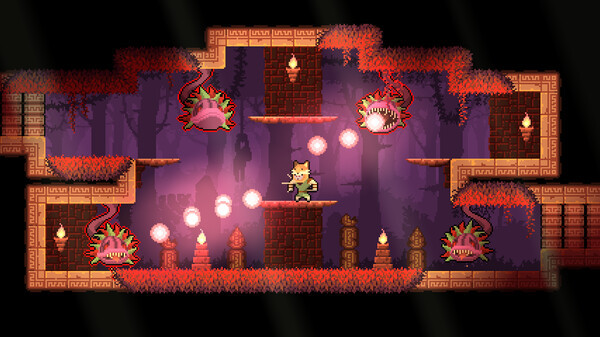 Игра Dunjungle, скриншот
