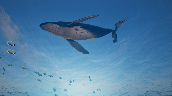 Игра Eden Island, скриншот