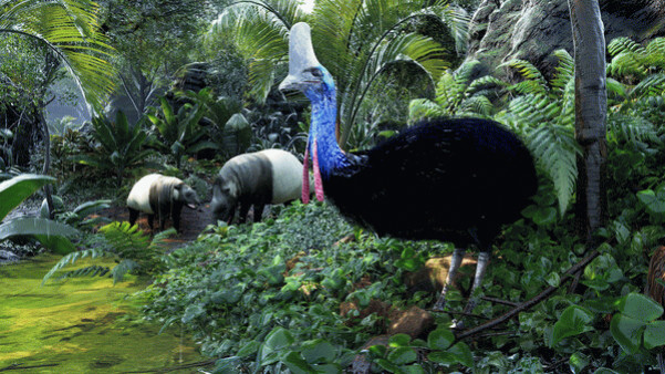 Игра Eden Island, скриншот