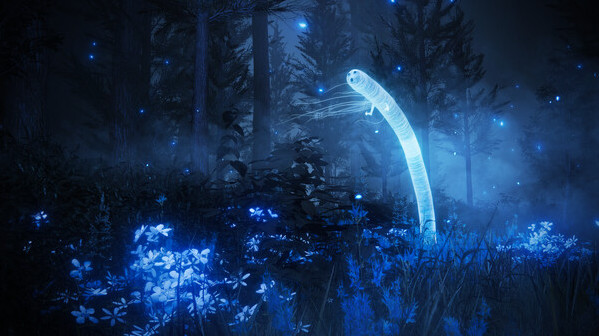 Игра ELDEN RING Shadow of the Erdtree Premium Bundle, скриншот