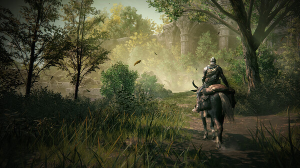 Игра ELDEN RING Shadow of the Erdtree, скриншот