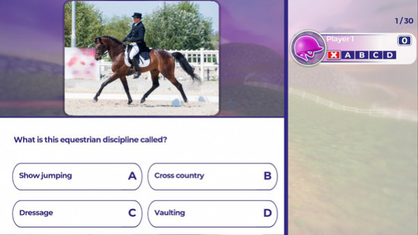 Игра Equestrian Training, скриншот