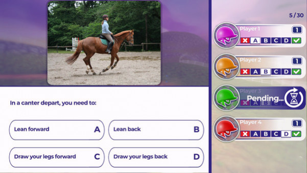 Игра Equestrian Training, скриншот