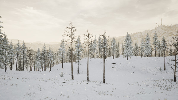 Игра Erzurum, скриншот