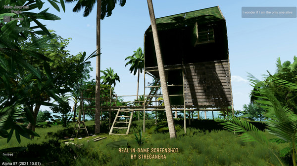 Игра Escape The Pacific, скриншот