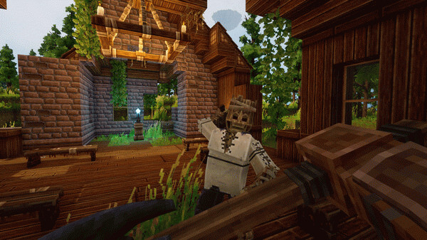 Игра Everwind, скриншот