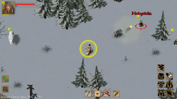 Игра Exiled Kingdoms, скриншот