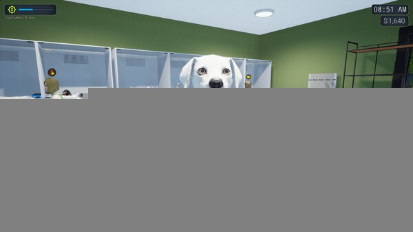 Игра Exotica 2: Pet Shop Simulator, скриншот