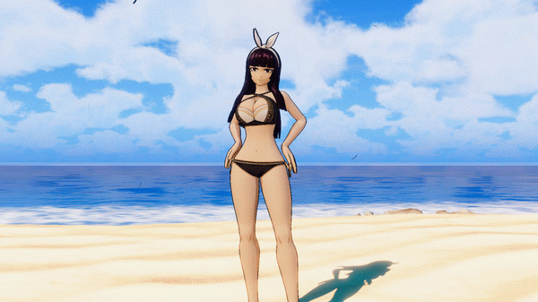 Игра FAIRY TAIL: Special Swimsuit Costume Set for 16 Playable Characters, скриншот