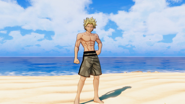 Игра FAIRY TAIL: Special Swimsuit Costume Set for 16 Playable Characters, скриншот