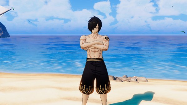 Игра FAIRY TAIL: Special Swimsuit Costume Set for 16 Playable Characters, скриншот