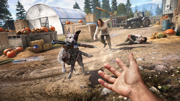 Игра Far Cry 5, скриншот