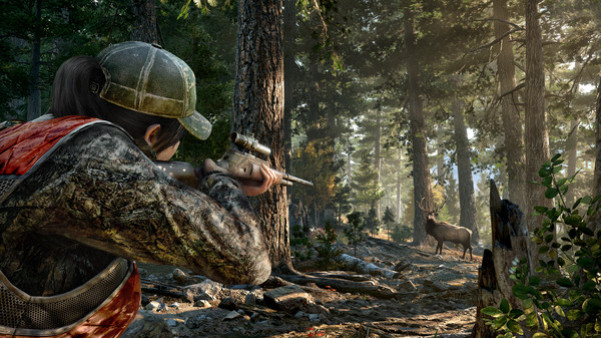 Игра Far Cry 5, скриншот