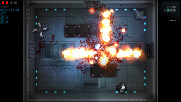 Игра Feral Fury, скриншот