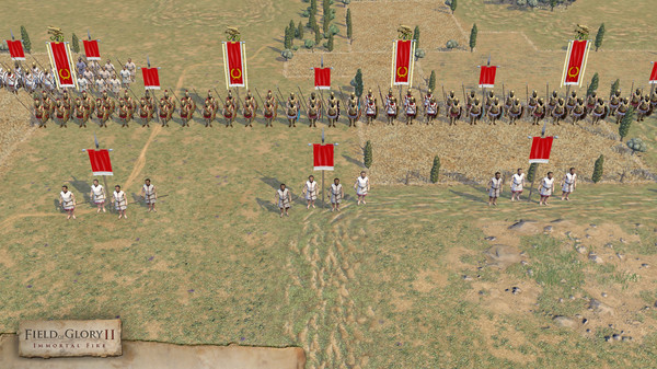 Игра Field of Glory II: Immortal Fire, скриншот
