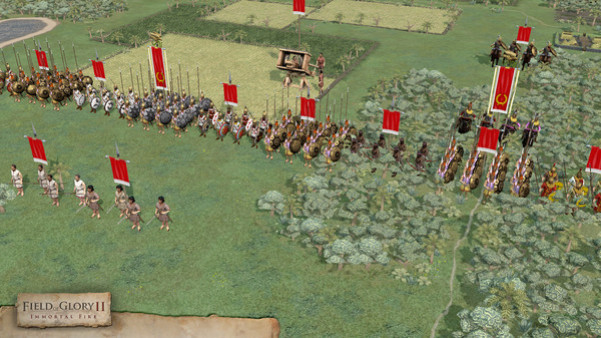Игра Field of Glory II: Immortal Fire, скриншот