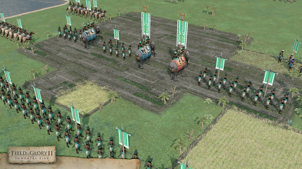 Игра Field of Glory II: Immortal Fire, скриншот