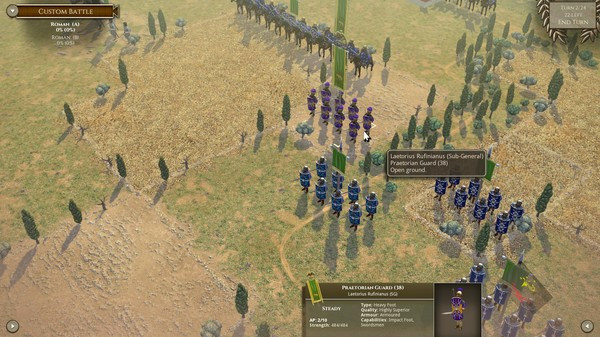 Игра Field of Glory II: Rise of Persia, скриншот