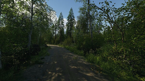 Игра Finnish Cottage Simulator, скриншот